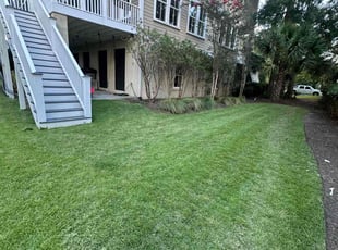 Kimberley P.'s Lawn Service service result