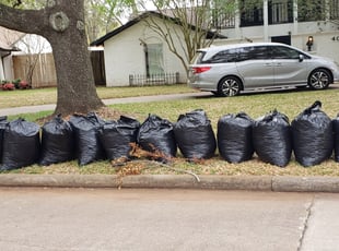 Leaf Removal by Andres Cruz for Nathan N. in Sugar Land, TX