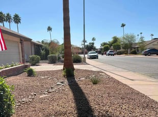 Leaf Removal by Jonathan Bell for Robert S. in Mesa, AZ