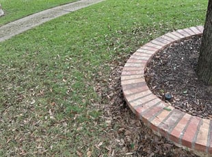 Cleanups by Patrick Stewart for Jake B. in Frisco, TX