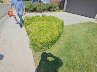 Bush Trimming by Delbert Jones for Jamie S. in Boise, ID