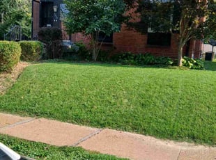 Chance k.'s Lawn Care service result