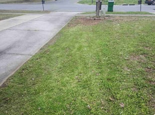 Leaf Removal by Denise James for Steve T. in Matthews, NC