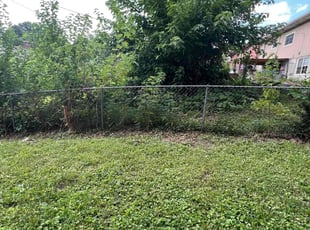 Cleanups by Rachel Smith for Dylan W. in Kansas City, KS