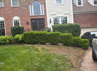 Bush Trimming by Claude Batts for Kelly T. in Charlotte, NC