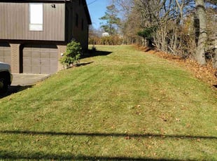 Leaf Removal by Joshua Bauer for Richard Y. in Pittsburgh, PA
