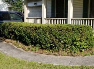 Bush Trimming by Tristan Heemer for Cheryl O. in Summerville, SC