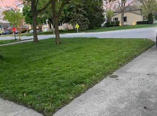Jennifer M.'s Lawn Service service result