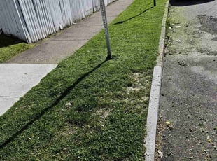 Harvey N.'s Lawn Mowing service result