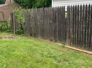 Bush Trimming by David McLeod for Teri B. in Detroit, MI