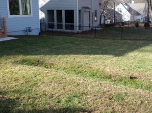 Leaf Removal by Aaron Vertreese for Mario P. in Prairie Village, KS