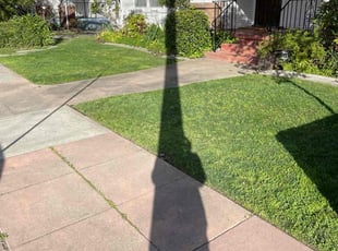 Marshalla T.'s Grass Cutting service result