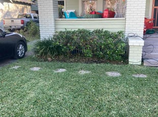 Bush Trimming by Edgar Velasquez for Kandace D. in Houston, TX