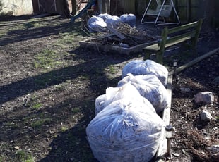 Cleanups by Mark Brague for Danielle H. in Virginia Beach, VA