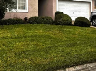 Bush Trimming by James Ramey for Denise G. in Davenport, FL