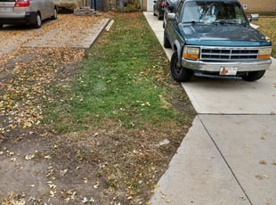 Leaf Removal by Neil Robinette for Jeff H. in Kansas City, MO