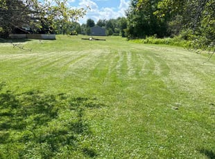 Michael T.'s Lawn Maintenance service result