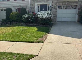 Cleanups by candelario castillo for John g. in Alexandria, VA