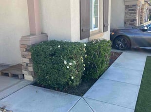 Bush Trimming by Hugo Lopez for Ruben M. in Menifee, CA