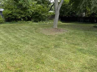 Leaf Removal by Hassan Hassan for Noemi B. in Bay Village, OH