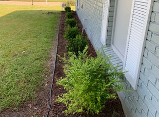 Landscaping by Keith Barber for Quincy J. in Baton Rouge, LA
