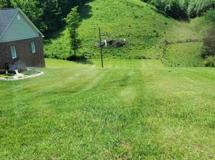 Sharron S.'s Lawn Service service result