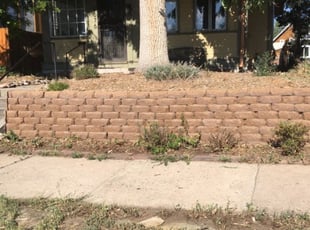 Bush Trimming by Adrian Gabaldon for Kathy C. in Denver, CO