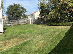 Leaf Removal by Christopher Piccioni for Deirdre S. in Winslow Township, NJ
