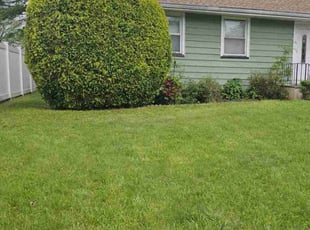 Bush Trimming by Efrain Colon for Louis B. in Hillside, NJ