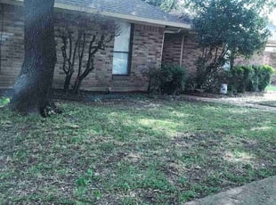 Leaf Removal by Devante Alexander for Debra H. in Dallas, TX