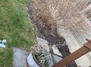 Leaf Removal by Matthew Achey for Peter B. in Barrington, RI