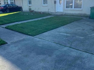 Nikki-Lee P.'s Lawn Mowing service result