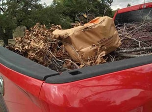 Cleanups by Leroy Valdez for Carolyn C. in San Antonio, TX