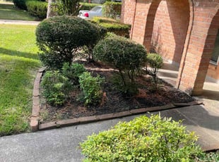 Bush Trimming by Monique Keys for Ruby G. in Humble, TX