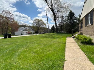 Susie B.'s Yard Cutting service result