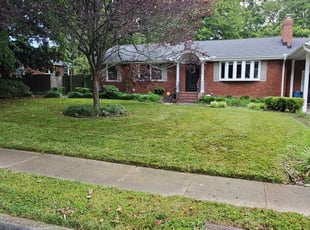 Bush Trimming by William Mende for Jared M. in Norfolk, VA