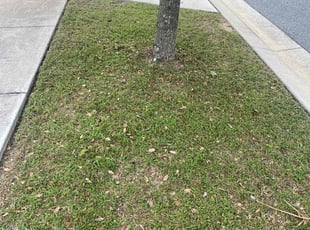 James G.'s Lawn Service service result
