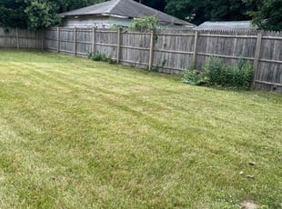 Yifei Z.'s Lawn Service service result