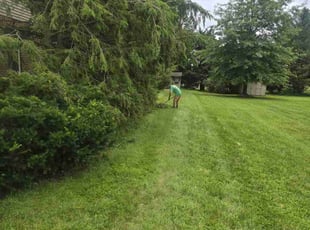 Bush Trimming by Philip Shoop for Douglas M. in York, PA
