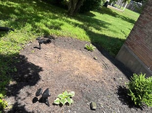 Weeding by Christopher Maurer for Jenna H. in King of Prussia, PA