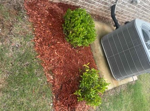 Bush Trimming by Robert Nichols for Karen D. in Athens, AL