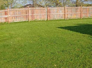 Mark S.'s Lawn Mowing service result