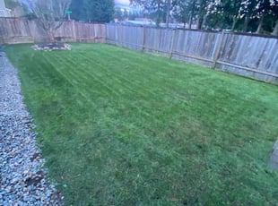 Melissa H.'s Lawn Mowing service result