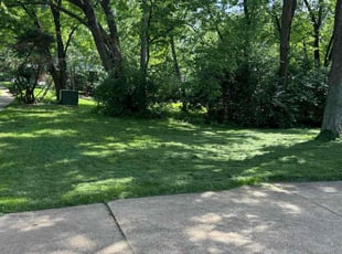 Sharen R.'s Lawn Mowing service result