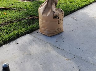 Leaf Removal by Leandro Lobo for Tavia B. in Orlando, FL