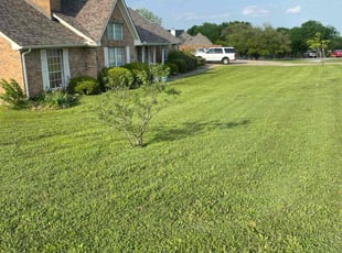 Gary S.'s Grass Cutting service result
