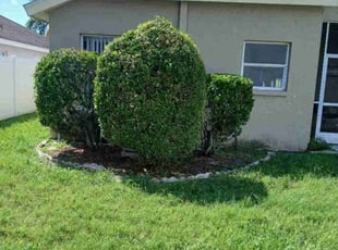 James M.'s Bush Trimming service result