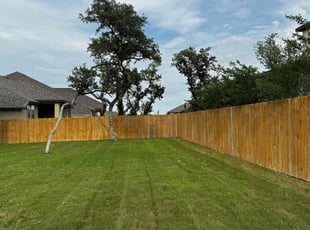 Michelle E.'s Lawn Mowing service result