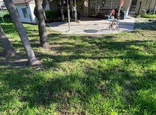 Leaf Removal by Timothy Cardinal for Jerilyn K. in San Antonio, TX