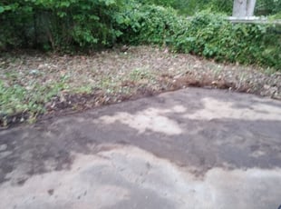 Cleanups by Carlos Carrera for Carla F. in Charlotte, NC